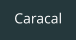 Caracal
