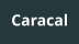 Caracal
